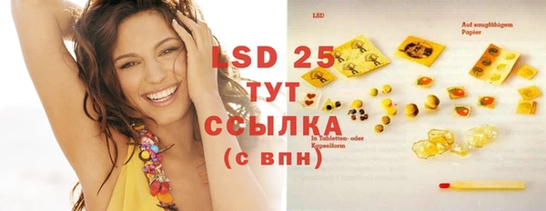 PSILOCYBIN Армянск