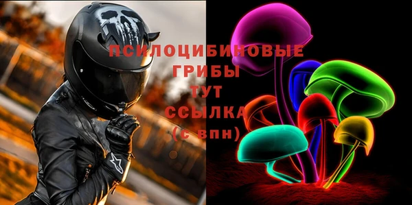 PSILOCYBIN Армянск