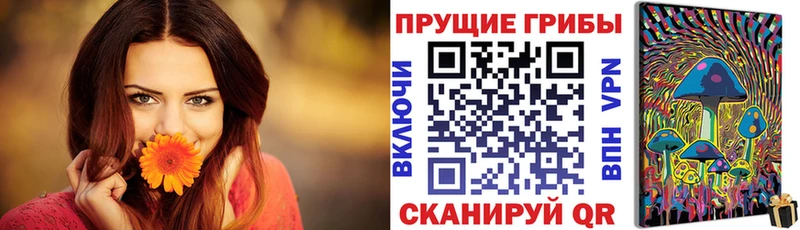 Галлюциногенные грибы ЛСД  цены наркотик  omg как зайти  Приозерск 